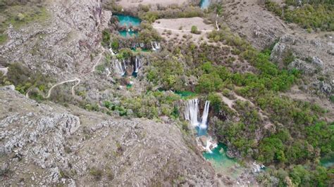  A Floresta de Pedras Eternas Uma Visão Onirica em Tons Terrosos e Linhas Ondulantes!